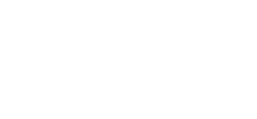Logo Virada Esportiva 2025